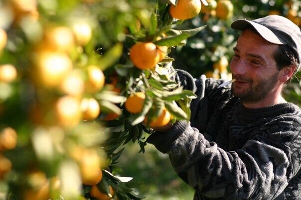 Апартаменты Апартаменты на побережье моря Сухум-16