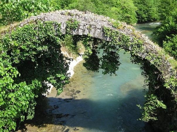 Апартаменты Апартаменты на побережье моря Сухум-28